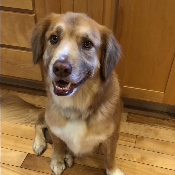 Meet me๐๐ - Picture 4 of 7